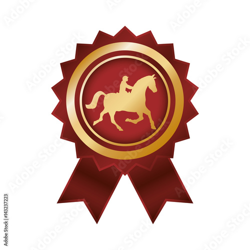 Horse riding equestrian sport icon vector illustration graphic design