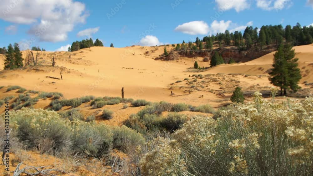 Static view of desert landscape at sand dunes Static view of desert landscape at sand dunes