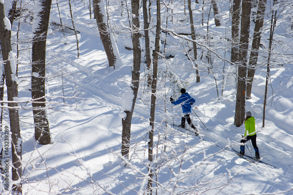 Couple cross country skiing in winter