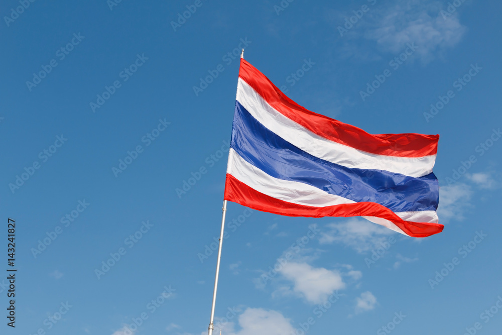 State national flag. State national flag.