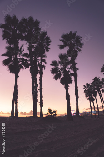 Palm trees in a purple sunset © Mike