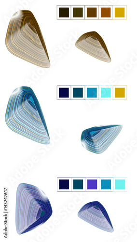 seashells. The blend tool. It consists of lines photo