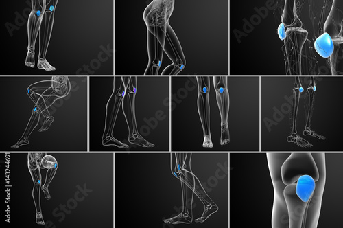 фотографія 3d rendering medical illustration of the patella bone