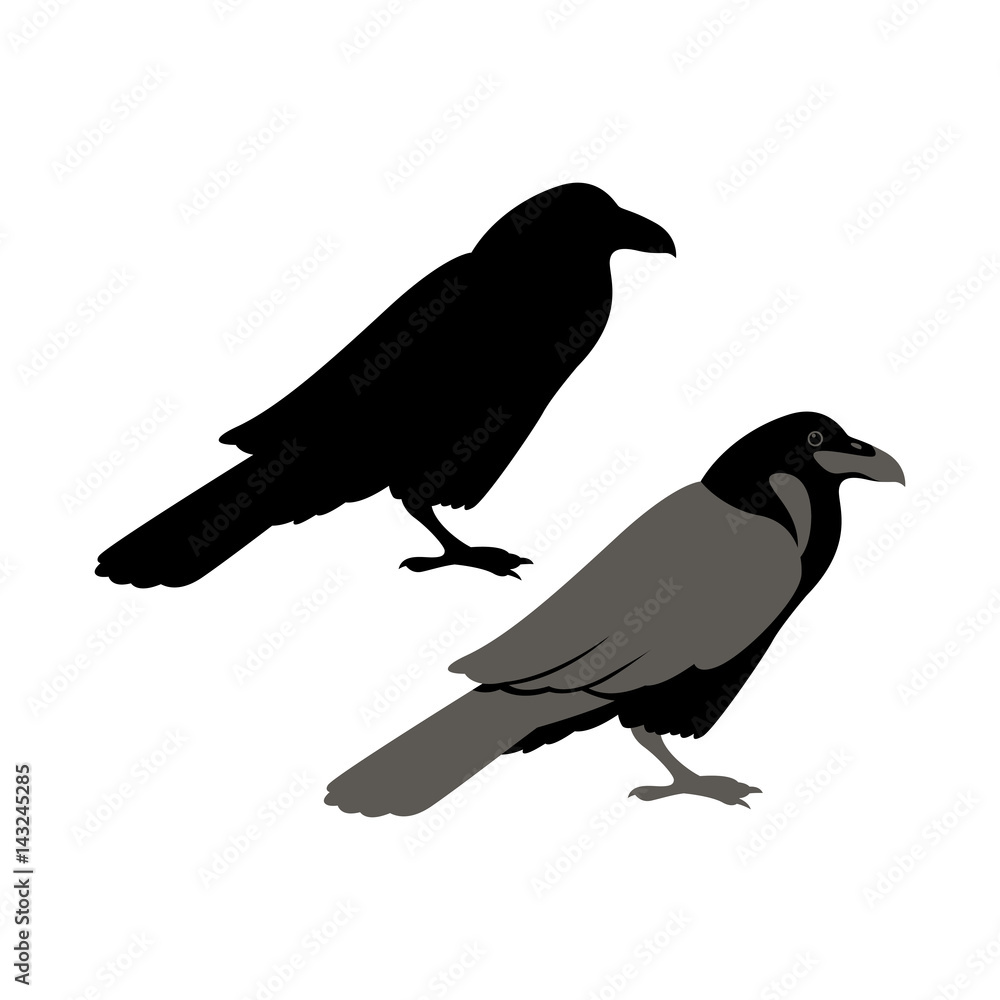 Raven vector illustration style Flat set silhouette Raven vector illustration style Flat set silhouette