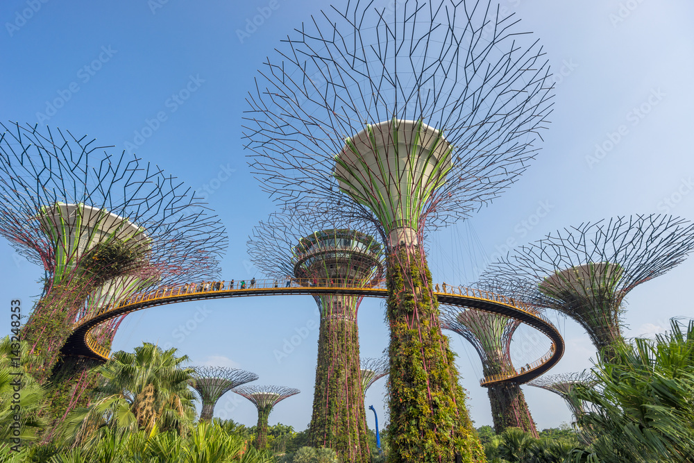 Fototapeta premium Super Tree Grove at Gardens By The Bay Singapore