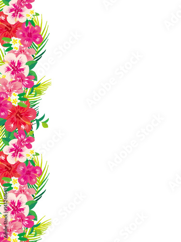 ハイビスカスとプルメリア　イラスト