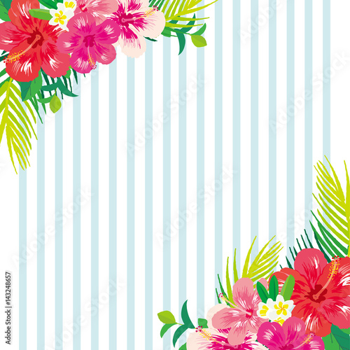 ハイビスカスとプルメリア　フレーム