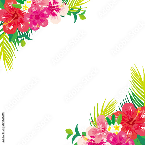 ハイビスカスとプルメリア　フレーム