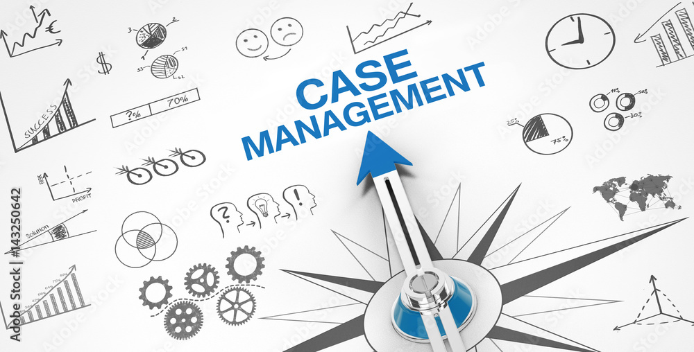 Case Management / Compass - obrazy, fototapety, plakaty 