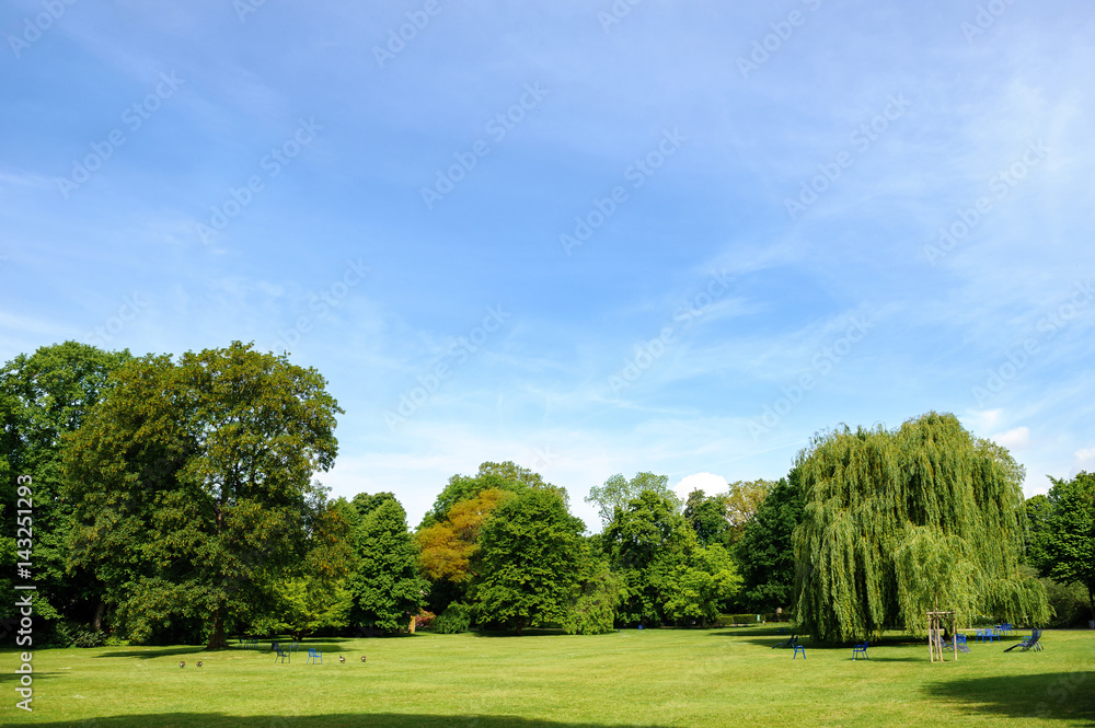 Green beautiful park and blue sky