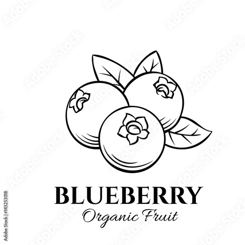 Hand drawn blueberry icon.
