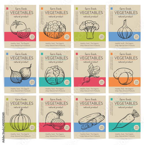 Hand drawn vegetables posters set.