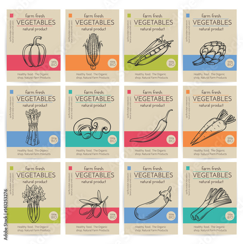 Hand drawn vegetables posters set.