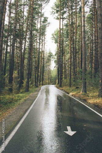 The road through the pine forest. Wet asphalt after rain