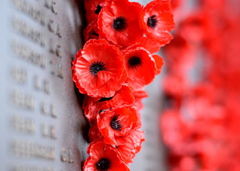 Canberra, Australia - March 18, 2017. Poppy wall lists the names of all the Australians who died in service of armies. The red poppy has become a symbol of war remembrance (ANZAC Day) the world over.