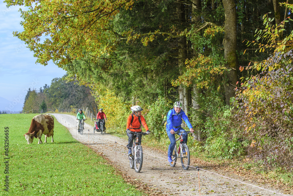 Fototapeta premium raus in die herbstliche Natur mit dem Fahrrad