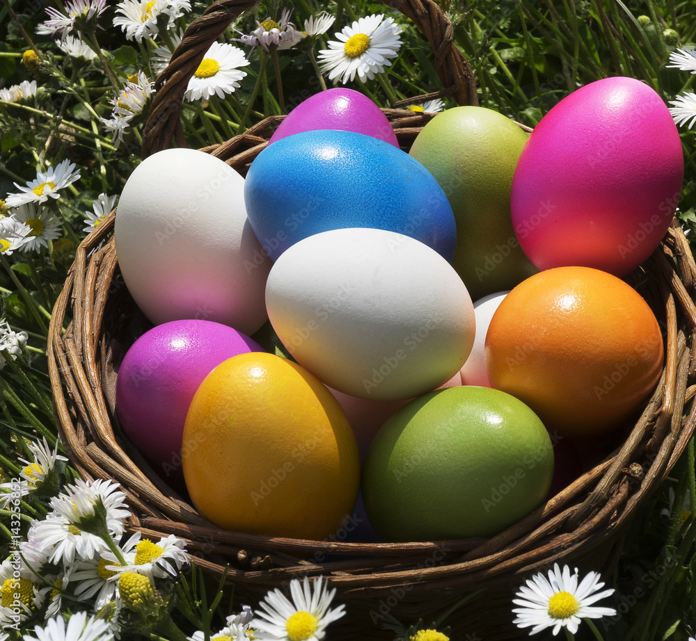 Easter eggs in the grass with daisies Easter eggs in the grass with daisies