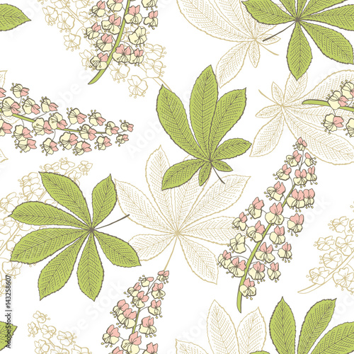 Chestnut flower leaf graphic color seamless pattern sketch illustration vector