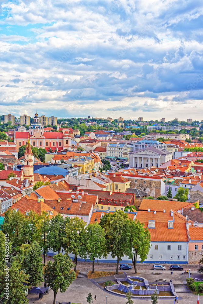 Obraz premium Old town of Vilnius with churches spires and Town Hall