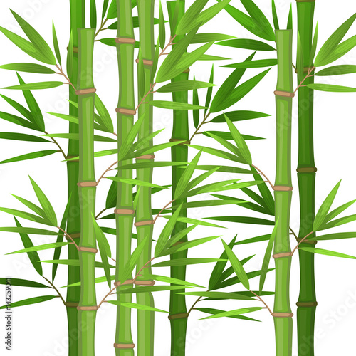 Fototapeta Naklejka Na Ścianę i Meble -  Stalks of bamboo with green leaves flat theme in realistic