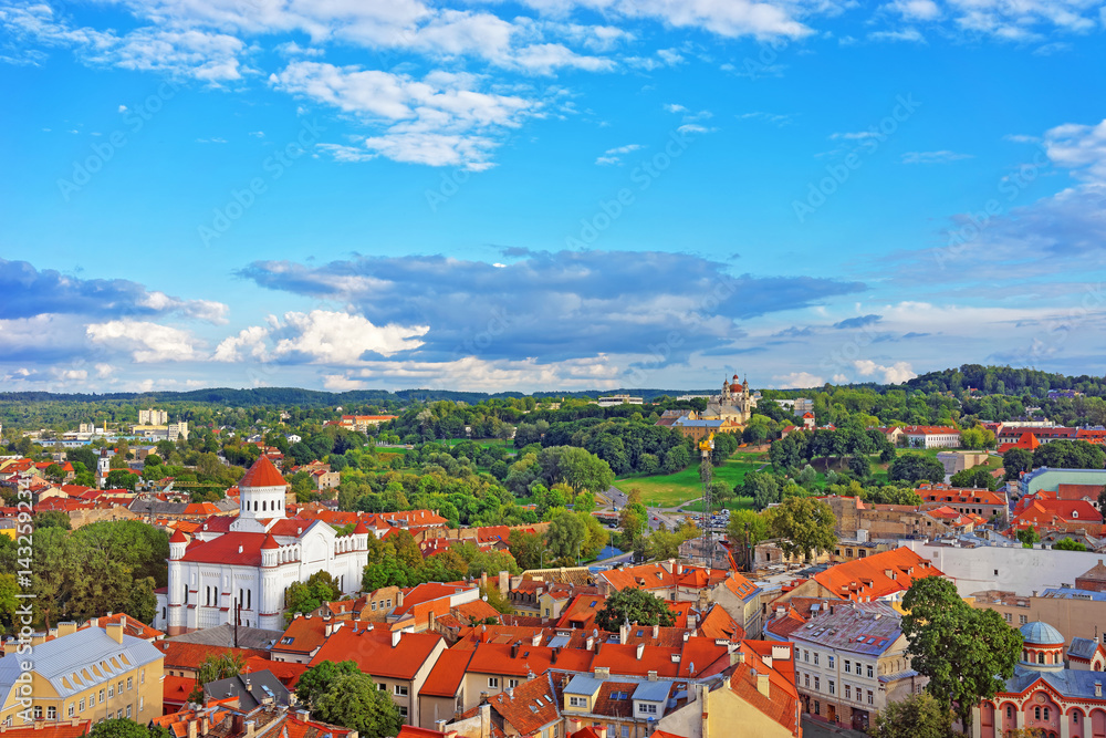 Rooftops to Cathedral of Theotokos in Vilnius - obrazy, fototapety, plakaty 