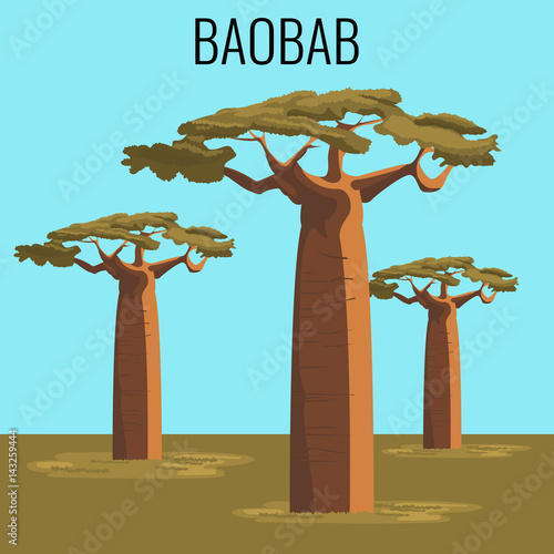 Tableau sur toile African baobab tree icon emblem
