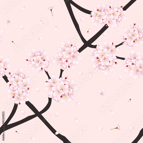 Sakura Cherry Blossom Flowe...