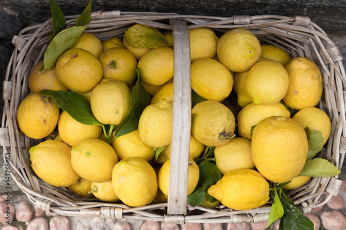 Fresh harvested lemons in wicker basket. Top view
