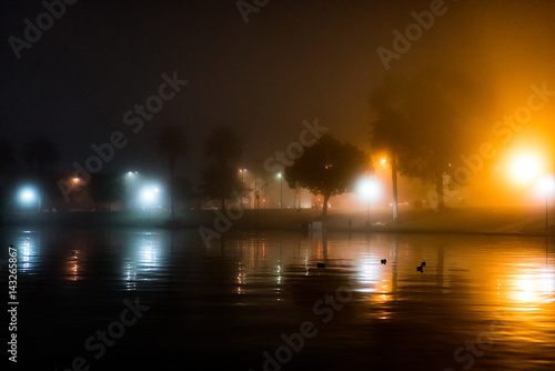 Foggy MacArthur Park