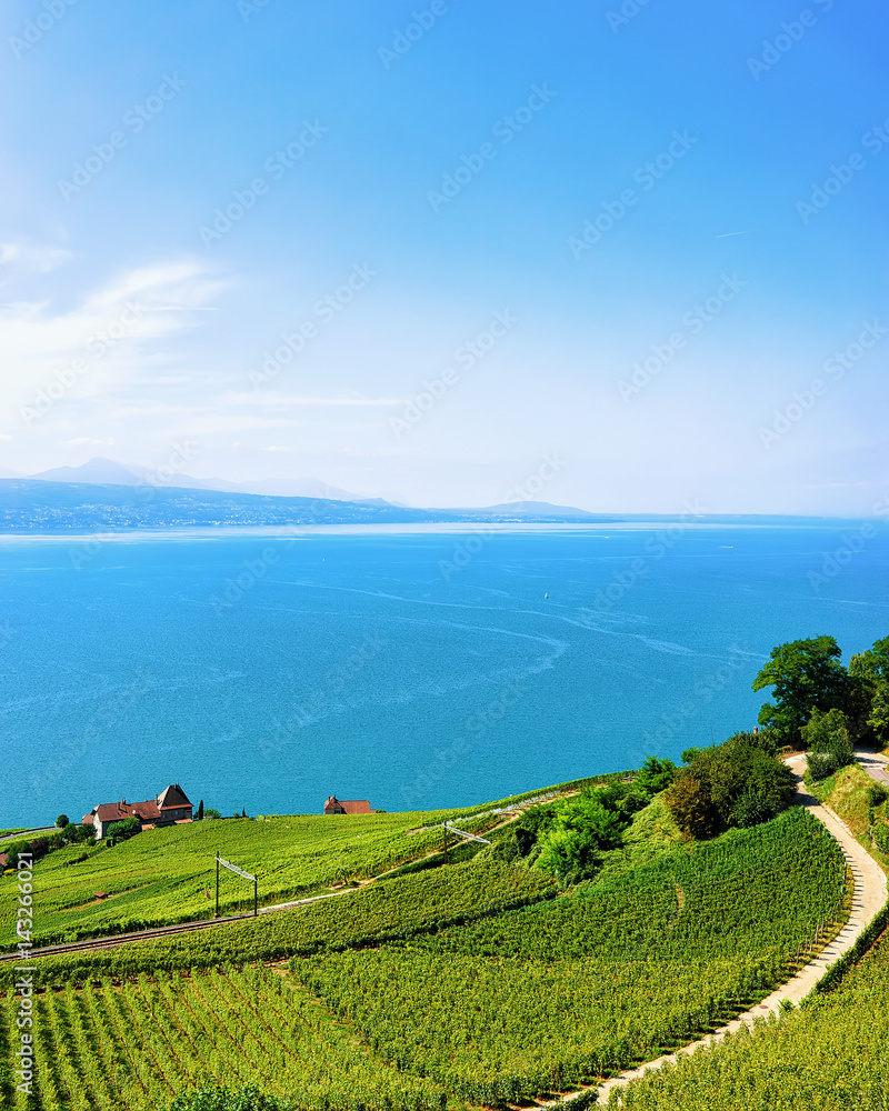 Lavaux Vineyard Terraces hiking trail in Switzerland