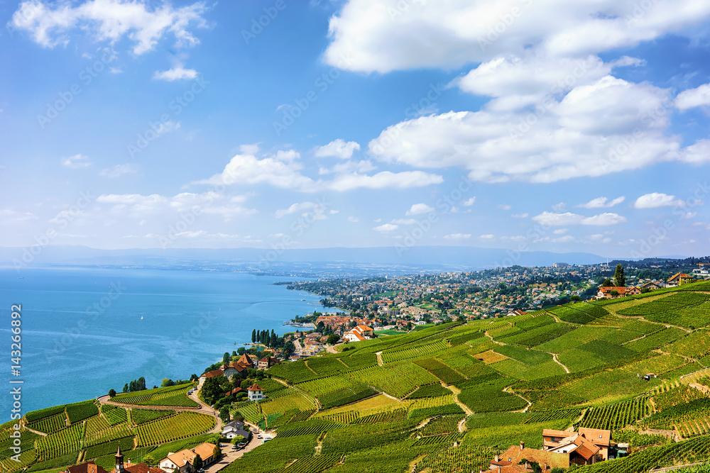 Swiss chalets near Lavaux Vineyard Terrace hiking trail of Switzerland