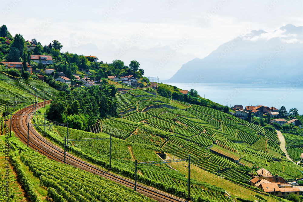 Railway line at Lavaux Vineyard Terraces Lake Geneva in Switzerland