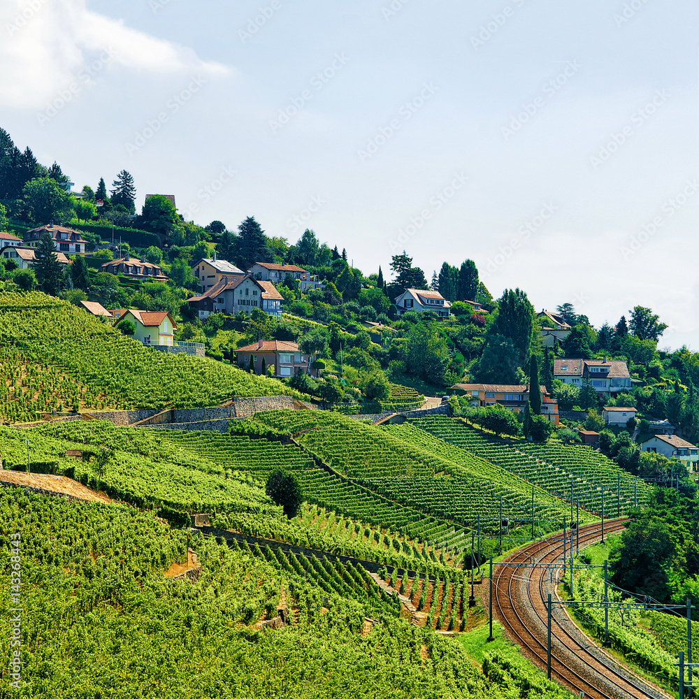Railway line at Lavaux Vineyard Terraces Switzerland