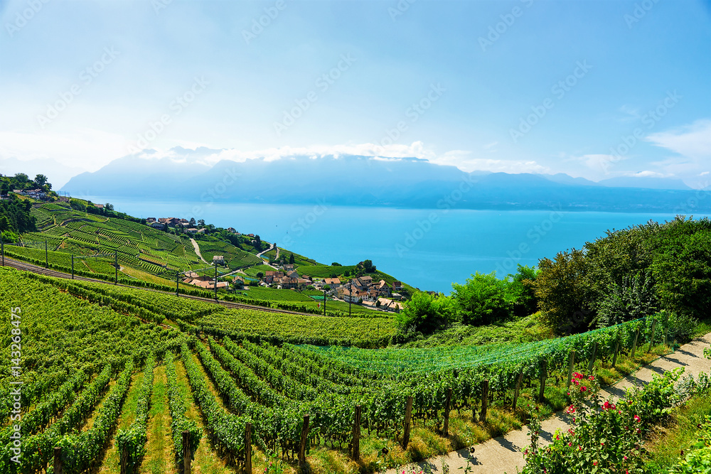 Railway line at Lavaux Vineyard Terraces Lake Geneva of Switzerland