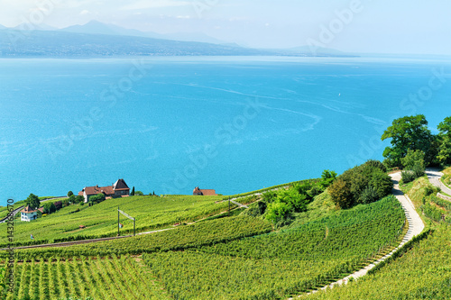 Railway line on Lavaux Vineyard Terraces Lake Geneva of Switzerland