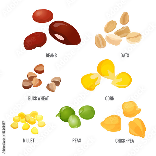 Cereal grain piles isolated on white vector poster
