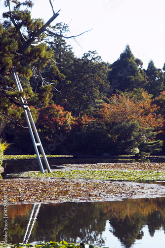 KYOTO, JAPAN: The grounds of Ryoanji Temple