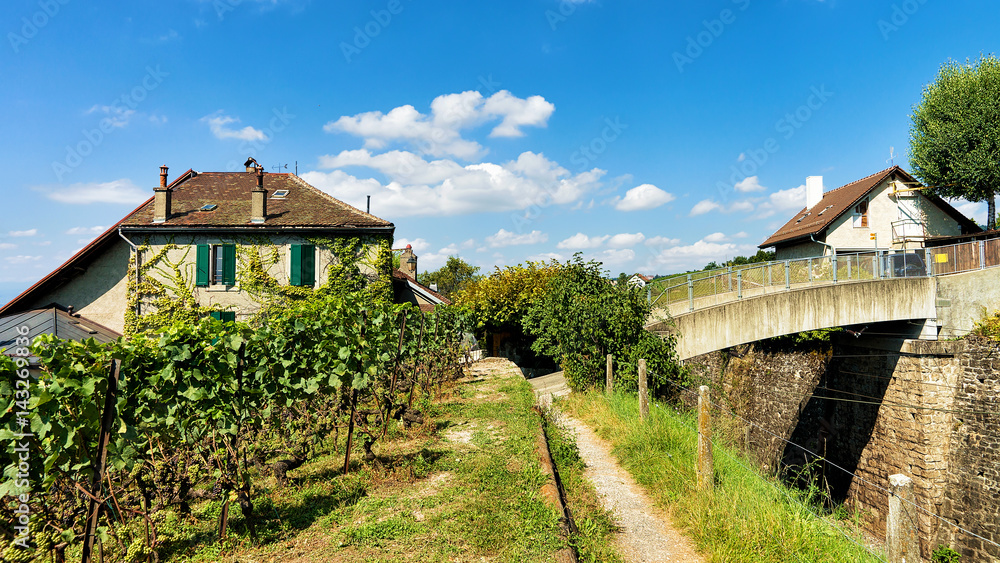 Chalets in Lavaux Vineyard Terraces hiking trail Lavaux Oron Chalets in Lavaux Vineyard Terraces hiking trail Lavaux Oron