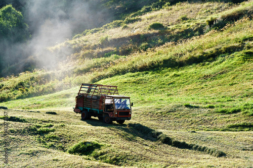 Agricultural vehicle with hay at meadow