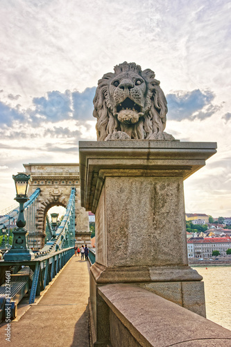 Lion sculpture on Szechenyi Chain Bridge Budapest
