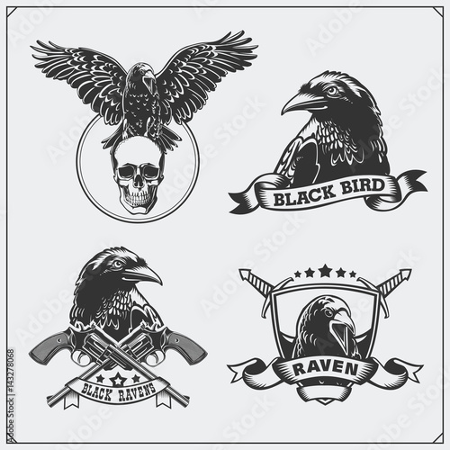 Raven heraldry coat of arms. Labels, emblems and design elements for sport club.