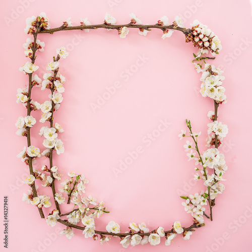 Frame made of apricot flowers on pink background. Flat lay, top view. Spring time background.
