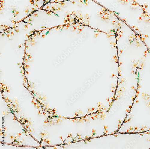 Spring background from flowering branches with white flowers with space for text