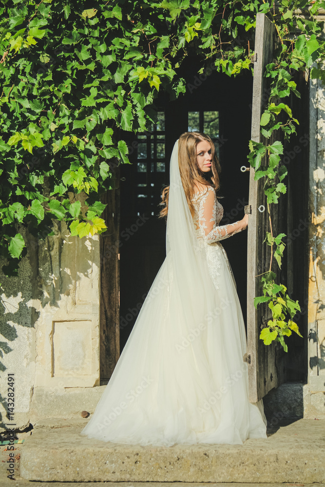 Sophisticated bride standing between wooden door of the castle. Beautiful, stylish girl in her sunny wedding day near green grape vine