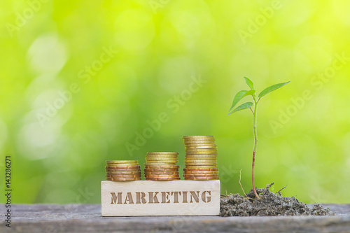 MARKETING WORD Golden coin stacked with wooden bar on shallow DOF green background.
