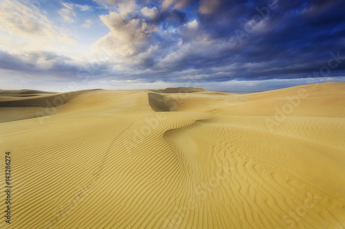 Sand dune soft legprints