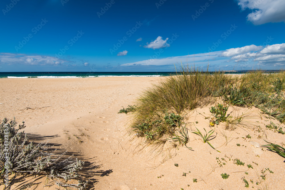 Dunes in Zahara de los Atunes natural reserve, Spain Dunes in Zahara de los Atunes natural reserve, Spain