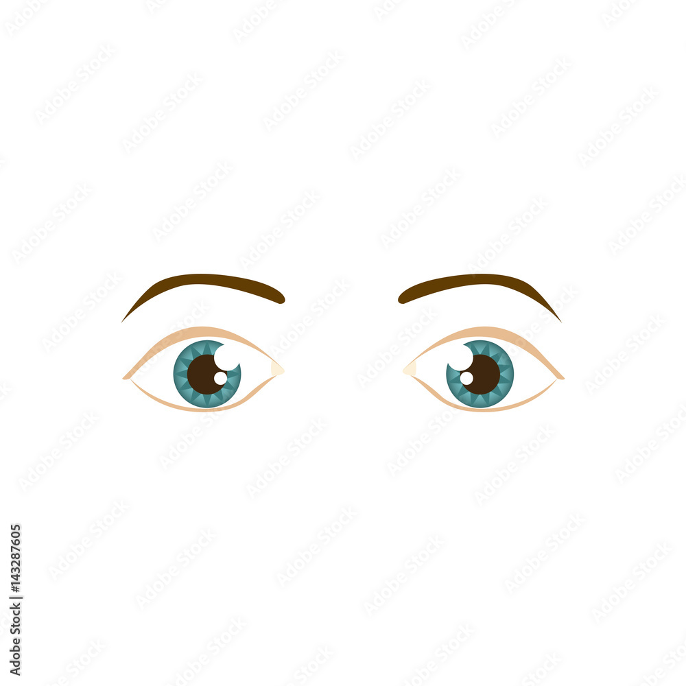 beautiful women with open eyes, vector illustration beautiful women with open eyes, vector illustration
