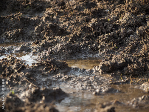 wet mud photo