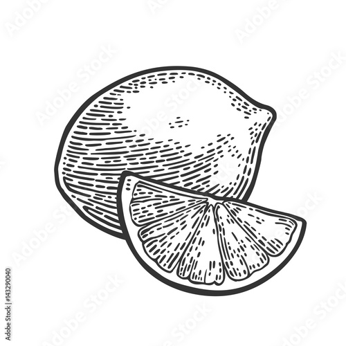 Lime whole and slice. Vintage vector engraving illustration